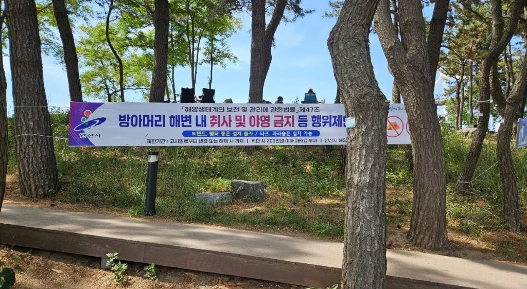 방아머리 해변에는 텐트, 쉘터 등은 설치가 불가하고, 타프와 파라솔만 설치가 가능하다