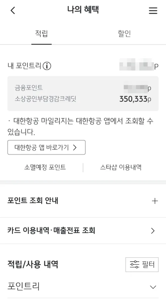 카드사 홈페이지에서 소상공인부담경감크레딧이 사용한 만큼 차감된 것을 확인할 수 있다