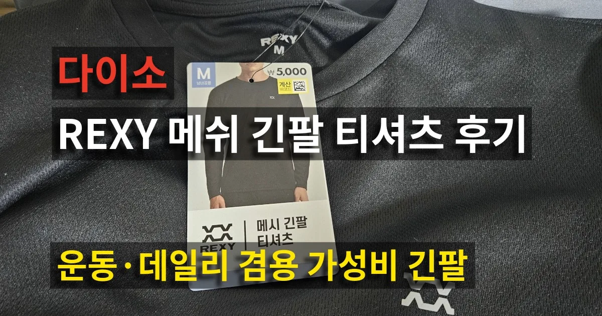 다이소 REXY 메쉬 긴팔 티셔츠 후기｜운동·데일리 겸용 가성비 긴팔