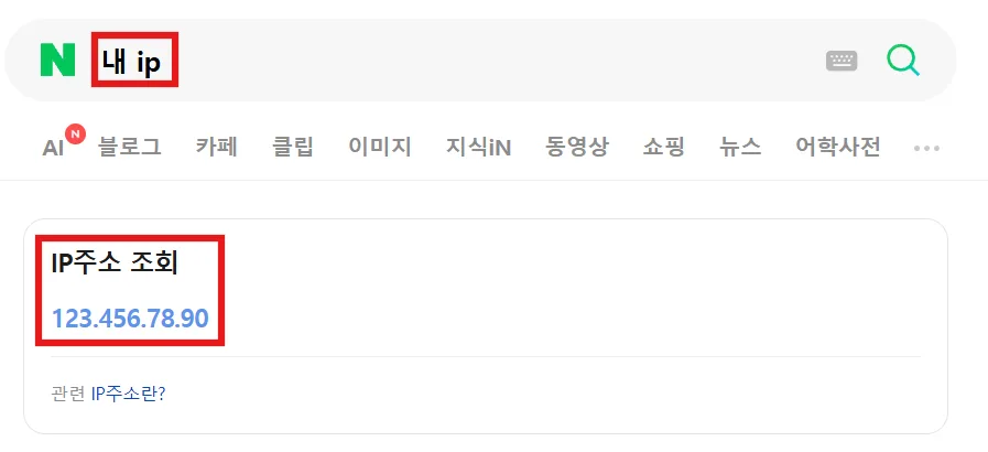 내 IP를 검색하여 공인 IP 주소 확인